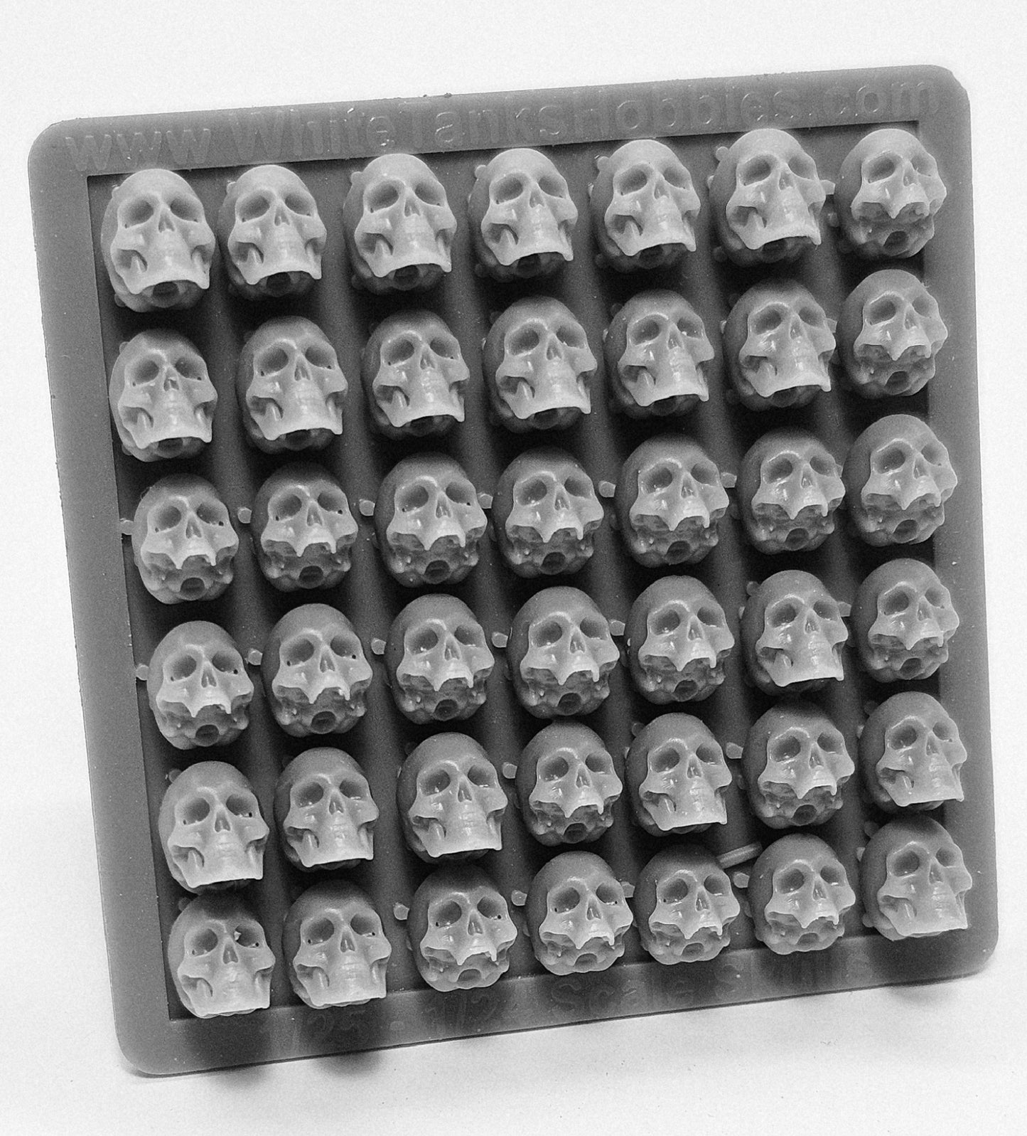 Human Skulls